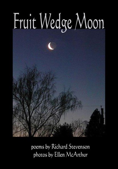 Fruit Wedge Moon, Richard Stevenson - Paperback - 9781927725290