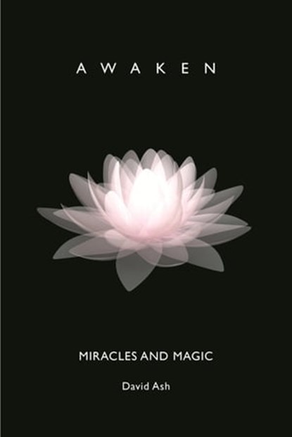 Miracles and Magic: Awaken, David Ash - Ebook - 9781928234326