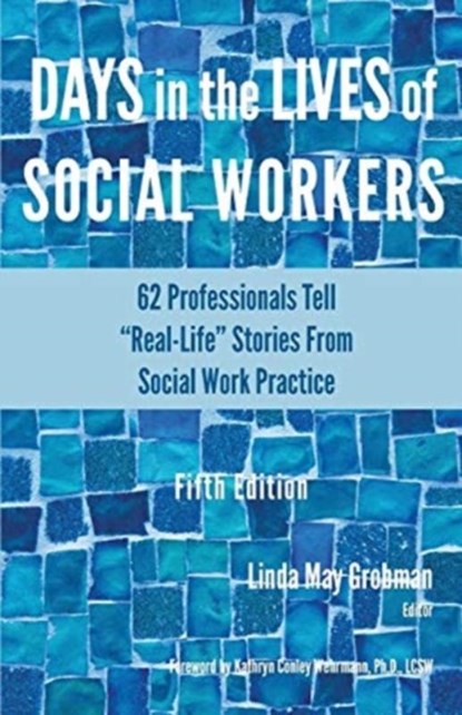 Days in the Lives of Social Workers, Linda May Grobman - Paperback - 9781929109845