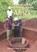 Postcolonial Archaeologies in Africa, Peter R. Schmidt - Paperback - 9781930618084