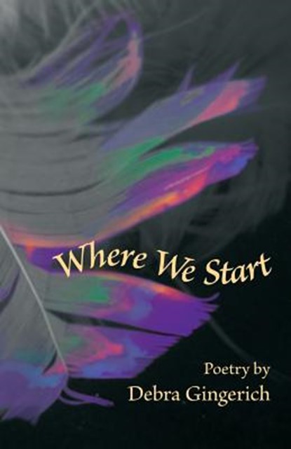 Where We Start, Debra Gingerich - Paperback - 9781931038393