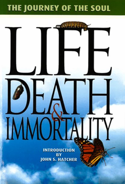 Life, Death and Immortality: The Journey of the Soul, Terrill Hayes - Paperback - 9781931847285