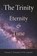 The Trinity, Thomas G. Weinandy - Paperback - 9781932589863