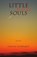 Little Raw Souls, Steven Schwartz - Paperback - 9781932870657