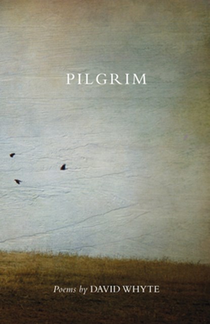 PILGRIM (REVISED) (REVISED) RE, David Whyte - Paperback - 9781932887259
