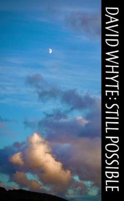 STILL POSSIBLE, David Whyte - Paperback - 9781932887556