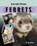 Ferrets, SULLIVANT,  Holly J. - Gebonden - 9781932904277