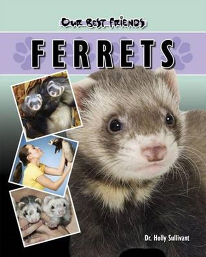 Ferrets, SULLIVANT,  Holly J. - Gebonden - 9781932904277
