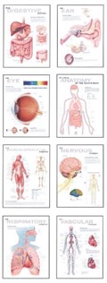 Human Anatomy Chart Pack | Scientific Publishing | 