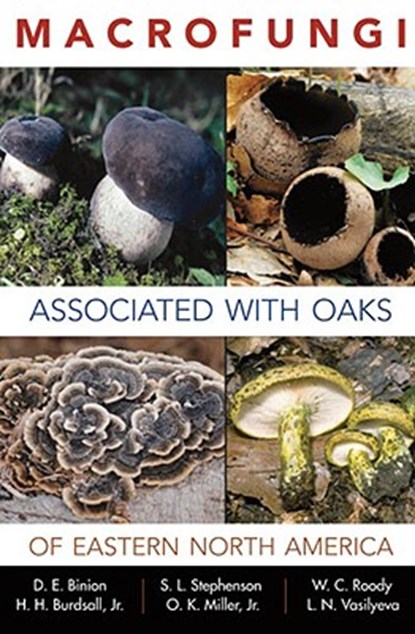 Macrofungi Associated with Oaks of Eastern North America, BINION,  Denise E. ; Stephenson, Steven L. ; Roody, William C. ; Jr, Harold H. Burdsall - Paperback - 9781933202365