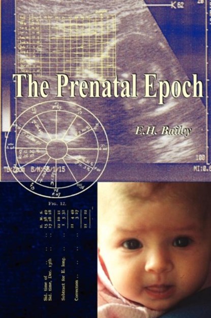 The Prenatal Epoch, E. H. Bailey - Paperback - 9781933303246