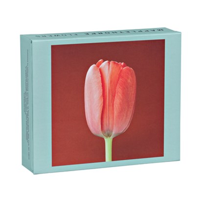 Mapplethorpe Flowers QuickNotes, The Robert Mapplethorpe Foundation - Losbladig - 9781933427034