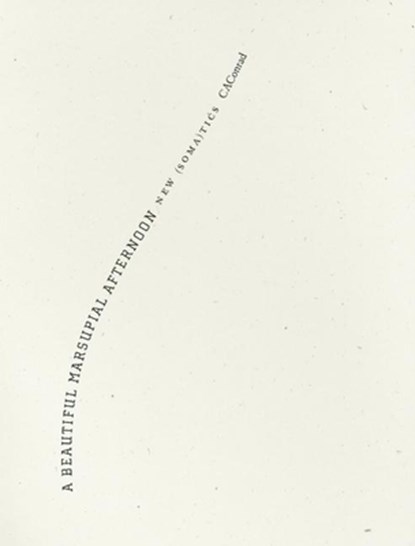 A Beautiful Marsupial Afternoon, CAConrad - Paperback - 9781933517599