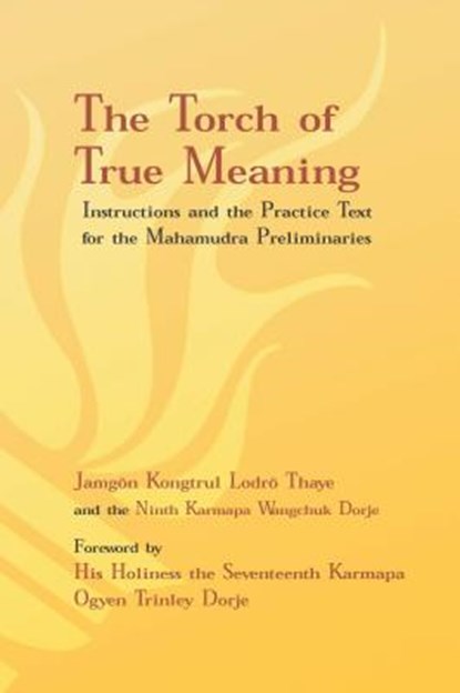 Lodro Thaye, J: Torch of True Meaning, Jamgon Kongtrul Lodro Thaye ; Ninth Karmapa Wangchuk Dorje ; Wangchuk Dorje ; Ogyen Trinley Dorje - Paperback - 9781934608524