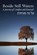 Beside Still Waters, Rachel Barenblat - Paperback - 9781934730010