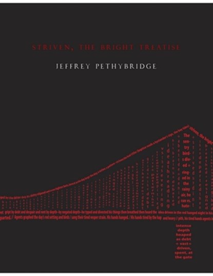 Striven, the Bright Treatise, Jeffrey Pethybridge - Paperback - 9781934819296