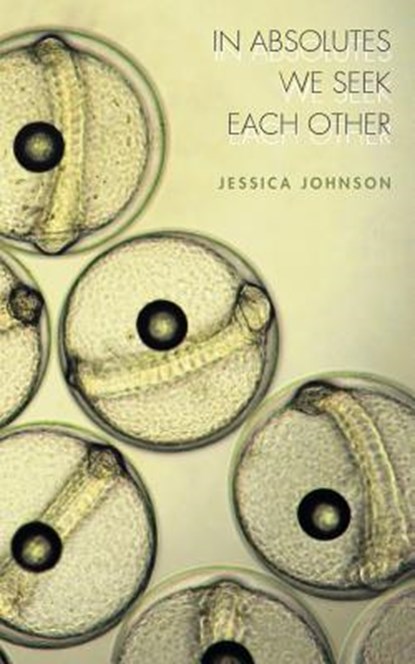 In Absolutes We Seek Each Other, Jessica Johnson - Paperback - 9781934832448