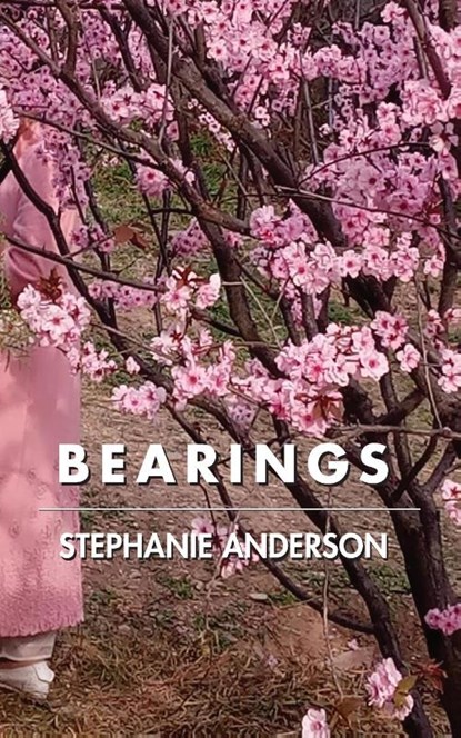 Bearings, Stephanie Anderson - Paperback - 9781934832950
