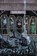 Rough Riders Volume 2, Adam Glass - Paperback - 9781935002819