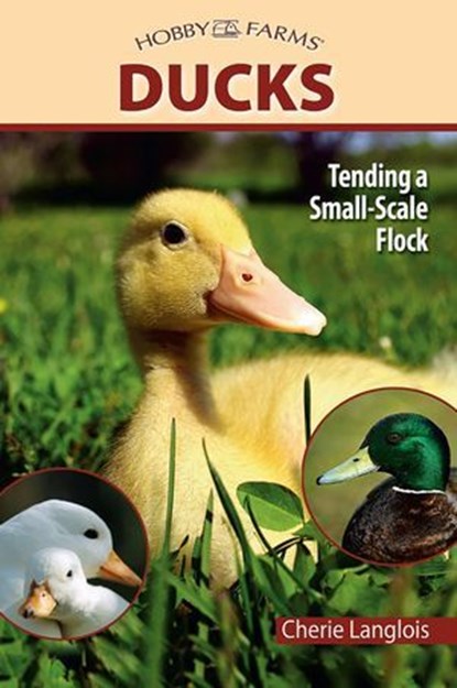 Ducks, Cherie Langlois - Ebook - 9781935484790
