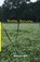 Broken Mirrors, KIM,  Yoon Sik - Paperback - 9781935520696