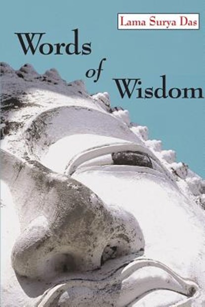 Words of Wisdom, Lama Surya Das - Paperback - 9781935646204