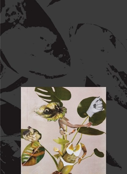 Kandis Williams: A Surface, Kandis Williams - Paperback - 9781935963332