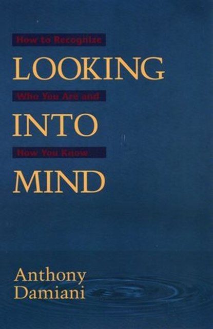 Looking into Mind, Anthony Damiani - Ebook - 9781936012343