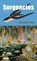 Surgencies, Abraham Smith - Paperback - 9781936097647