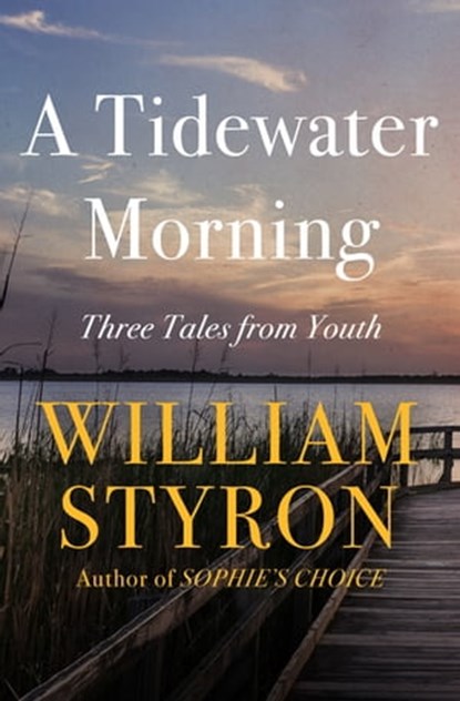 A Tidewater Morning, William Styron - Ebook - 9781936317257