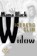Mama Black Widow, Iceberg Slim - Paperback - 9781936399192