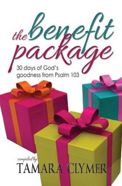 The Benefit Package, CLYMER,  Tamara - Paperback - 9781936501090