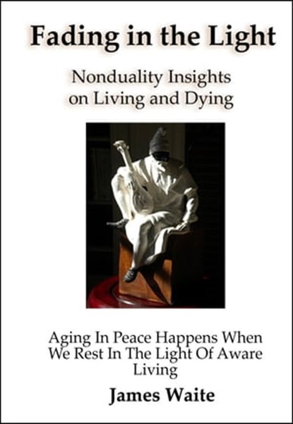 Fading in the Light, JAMES WAITE - Ebook - 9781936539505