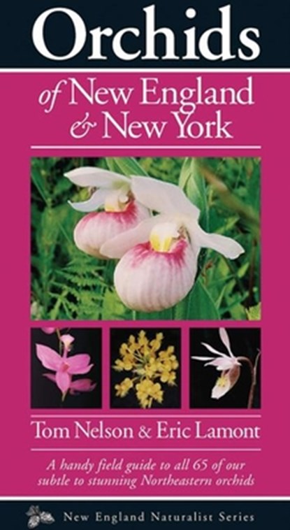 Orchids of New England & New York, Tom Nelson - Paperback - 9781936571048