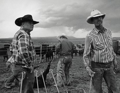 John Langmore - Open Range, John Langmore - Gebonden - 9781936611164