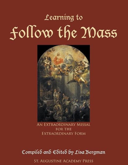 Learning to Follow the Mass, Lisa Bergman - Paperback - 9781936639199