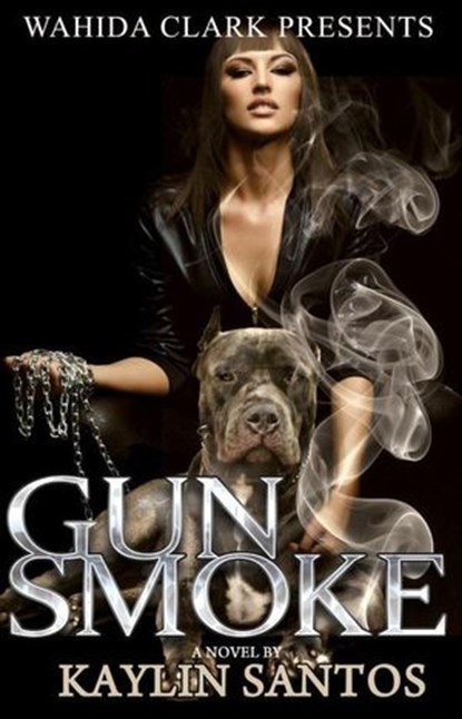 Gun Smoke, Kaylin Santos - Ebook - 9781936649495