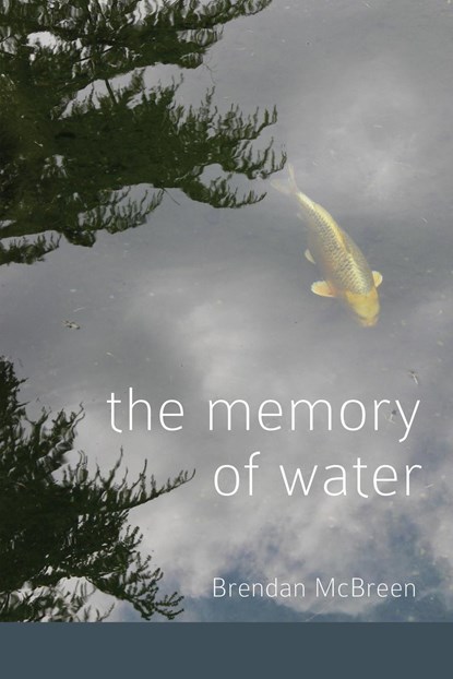The Memory of Water, Brendan McBreen - Paperback - 9781936657704