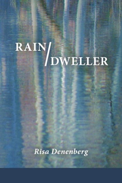 Rain / Dweller, Risa Denenberg - Paperback - 9781936657735