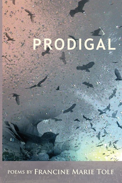 Prodigal, Francine Marie Tolf - Paperback - 9781936671083