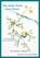 Why Water Plants Don't Drown: Survival Strategies of Aquatic and Wetland Plants, Susan Elizabeth Elliott - Paperback - 9781936671106