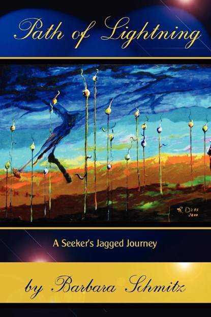 Path of Lightning, Art Historian Barbara (Universitat Basel Schmitz - Paperback - 9781936671113