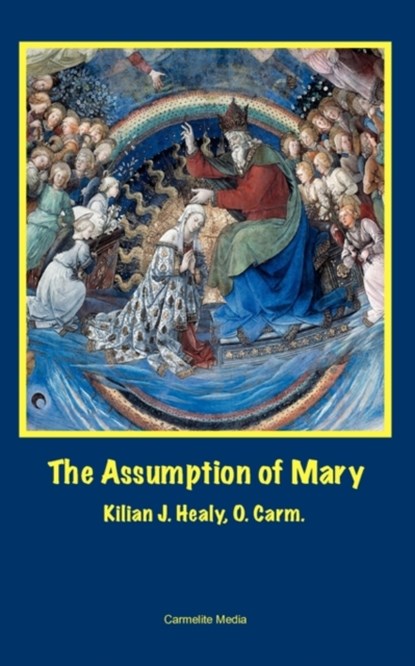 The Assumption of Mary, Kilian John Healy - Paperback - 9781936742004