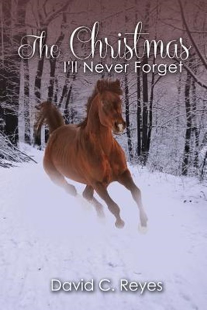 The Christmas I'll Never Forget, David Reyes - Paperback - 9781936746279