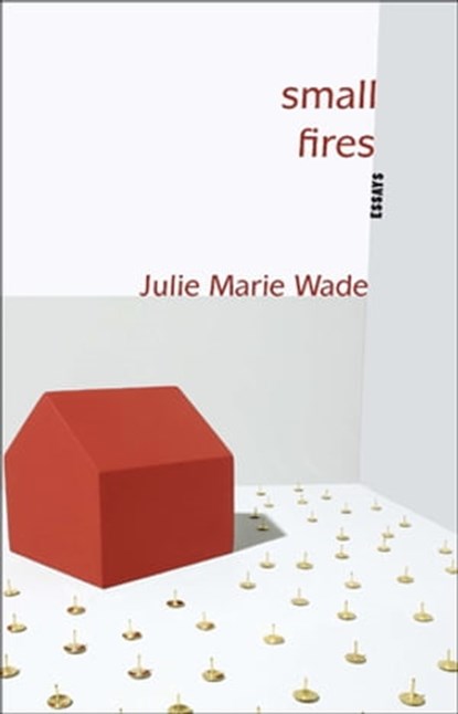 Small Fires, Julie Marie Wade - Ebook - 9781936747382