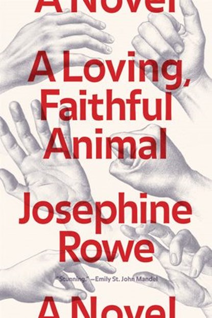 A Loving, Faithful Animal, Josephine Rowe - Ebook - 9781936787586