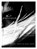 Boyishly, OLSON,  Tanya - Paperback - 9781936919147