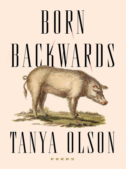 Born Backwards, Tanya Olson - Paperback - 9781936919994