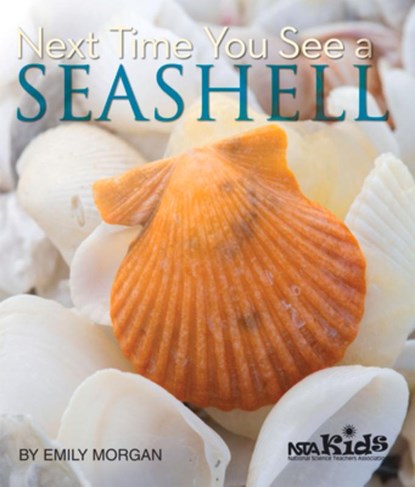 Next Time You See a Seashell, Emily Morgan - Paperback - 9781936959150