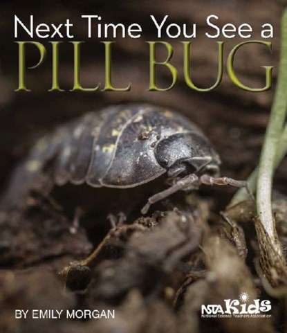 Next Time You See a Pill Bug, Emily Morgan - Paperback - 9781936959174